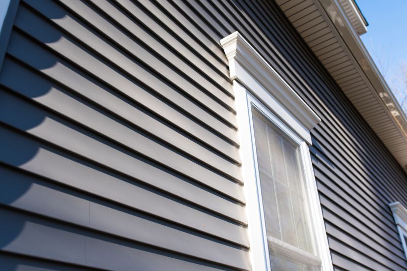 Siding and Cladding Painting